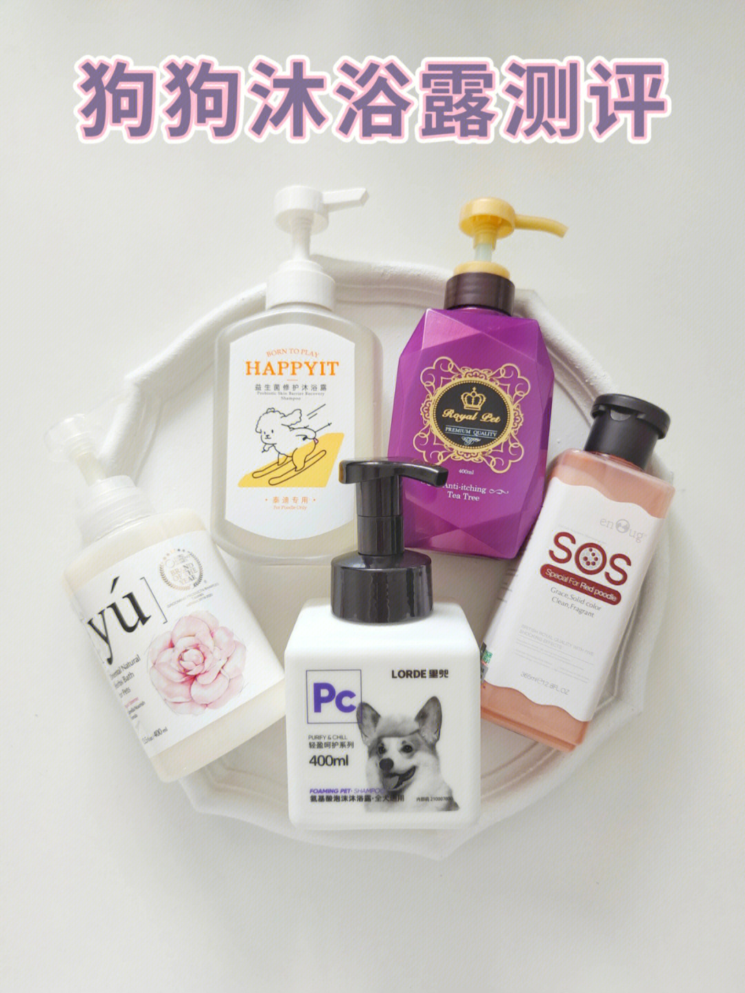 狗狗沐浴露用品測評與選擇指南 計算機(jī)信息技術(shù)視角下的科學(xué)推薦